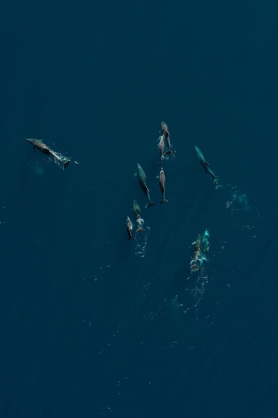 Kornati archipelago aerial view